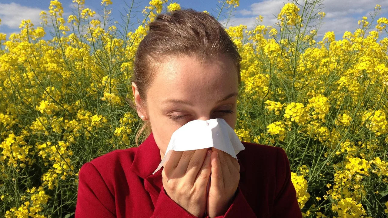 Alerte pollens : le cyprès attaque, vos yeux et votre nez vont morfler !