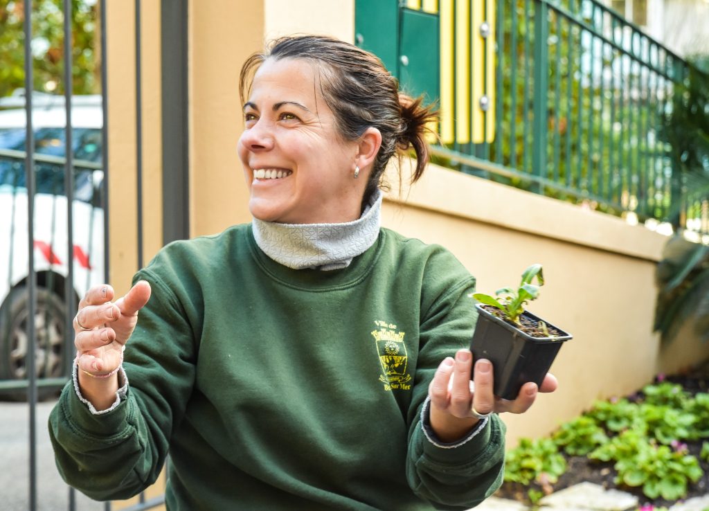 Espaces verts Beaulieu-sur-Mer distribution fleurs