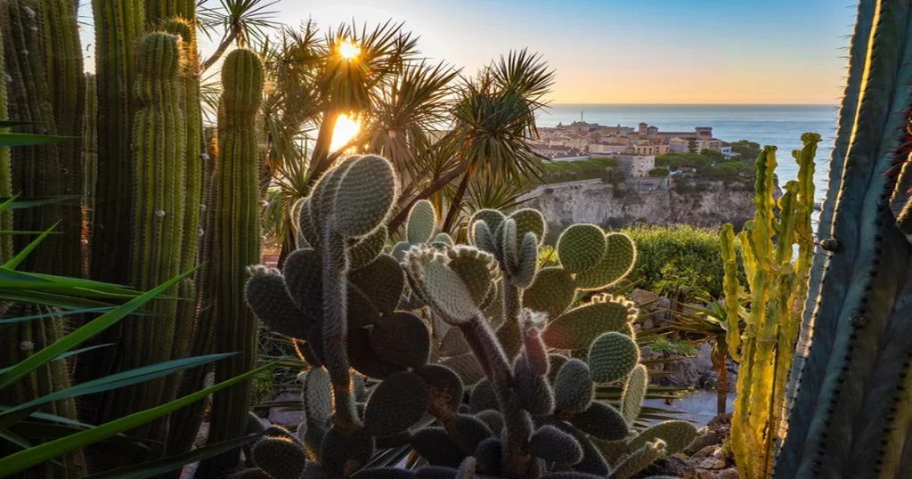 Jardin Exotique de Monaco au coucher du soleil