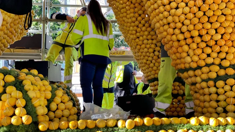 Citrons à 50 centimes le kilo à Menton : la bonne affaire post-Fête