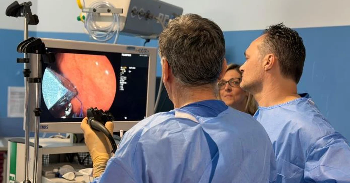 Procédure endoscopique CHU de Nice traitement obésité