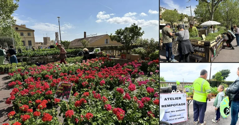 Grasse : pétanque, food trucks et marché aux plantes pour un dimanche 100% gratuit