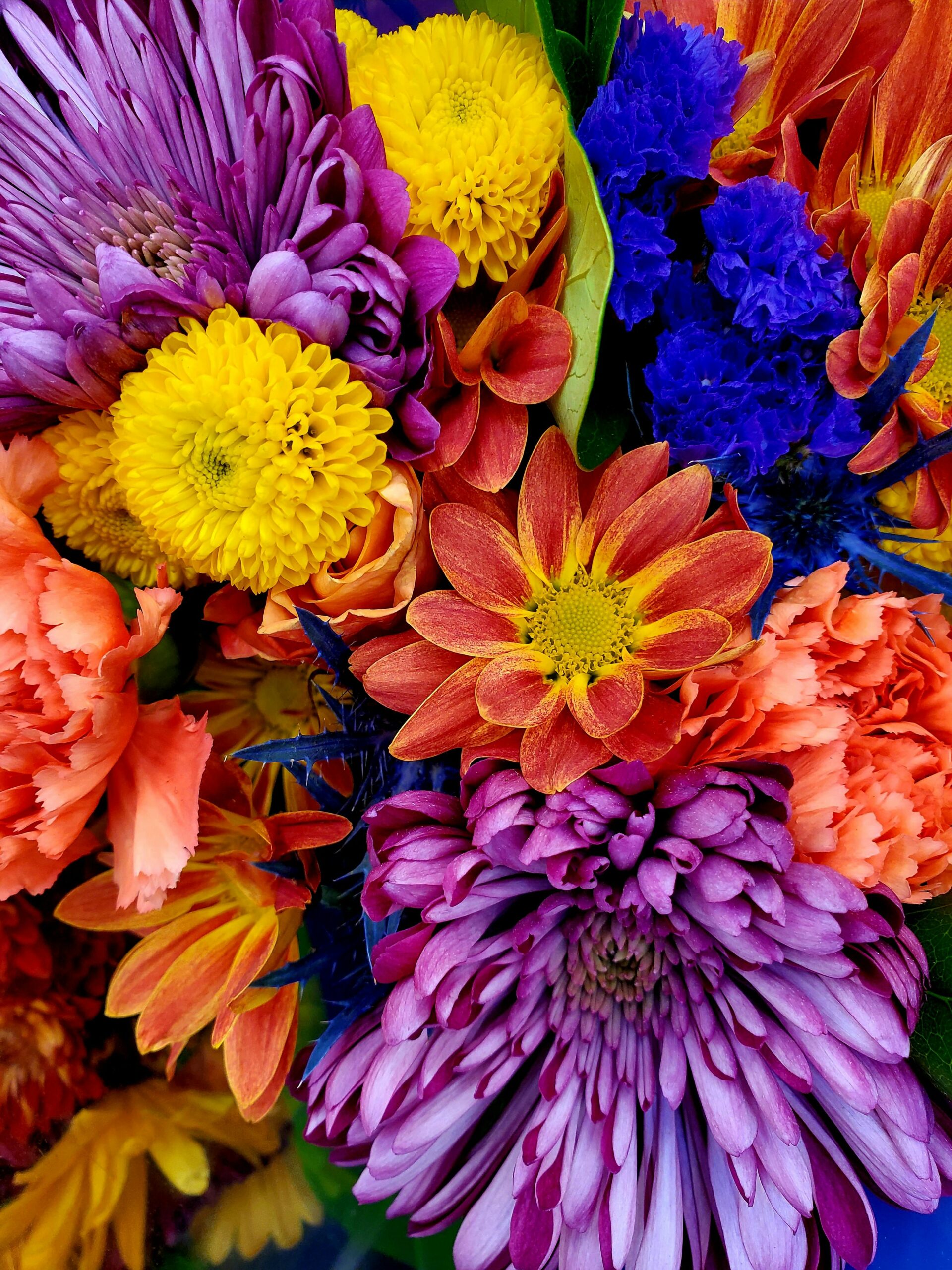 Boutique de fleuriste, fleurs en devanture (image d'illustration)