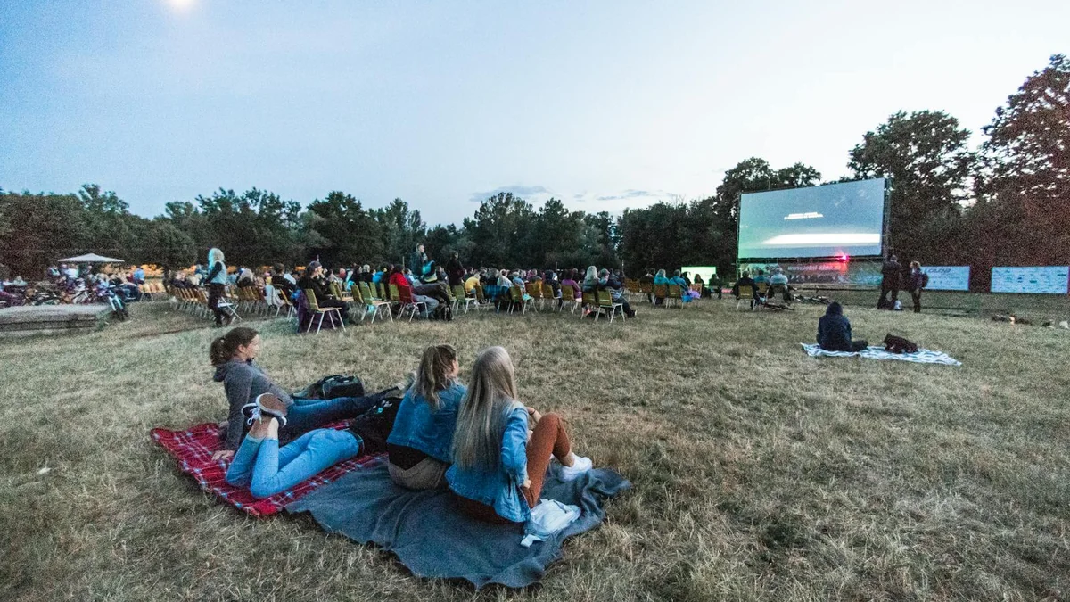 Spectateurs assis dans l'herbe devant un écran de cinéma en plein air le soir