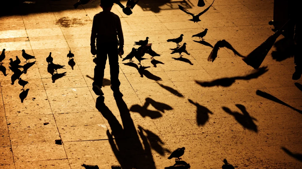 Mayette-Holtz crée Le Petit Garçon avec une ombre d’oiseau au TNN, décembre 2026