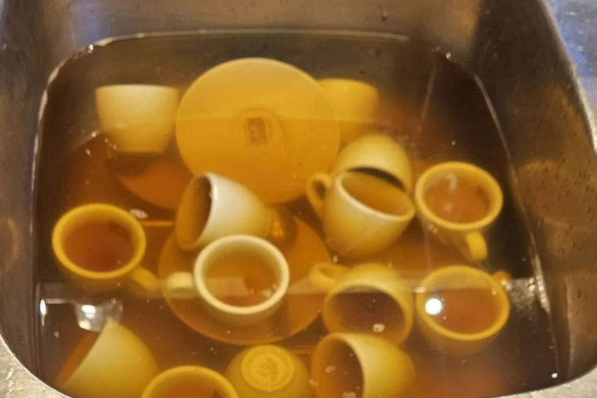 Tasses immergees dans une eau croupie dans l'evier du bar Le Gaulois