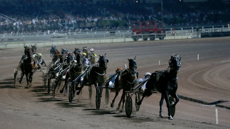 Trot, marché nocturne et soirée d’été à Cagnes
