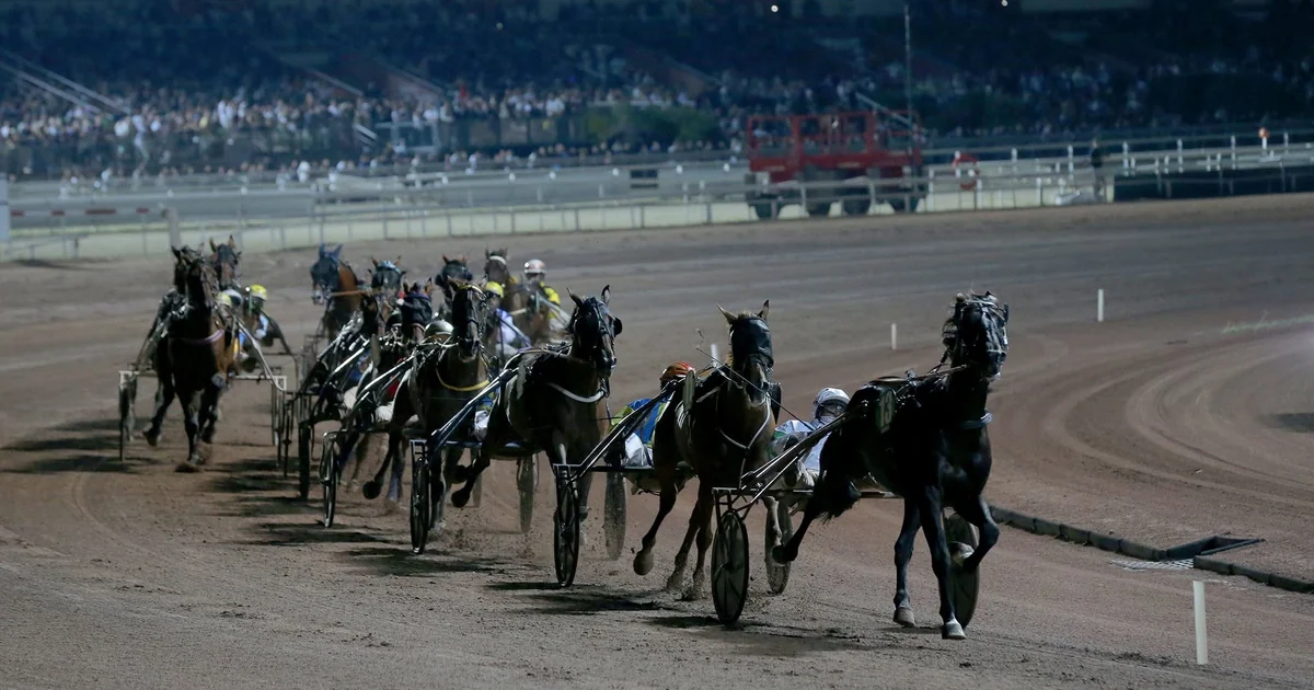 Peloton de trotteurs en course nocturne devant les tribunes de l’hippodrome de Cagnes-sur-Mer