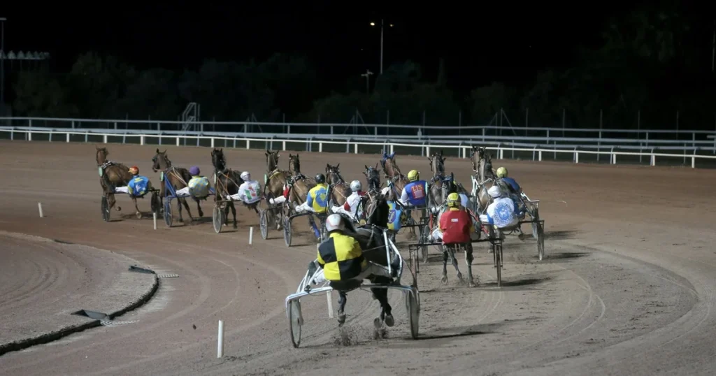 Une soirée d’été aux courses de Cagnes pour 5 euros