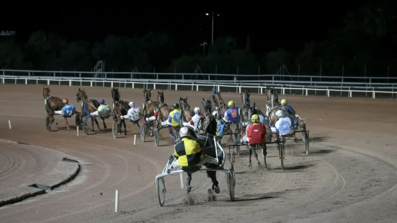 Une soirée d’été aux courses de Cagnes pour 5 euros
