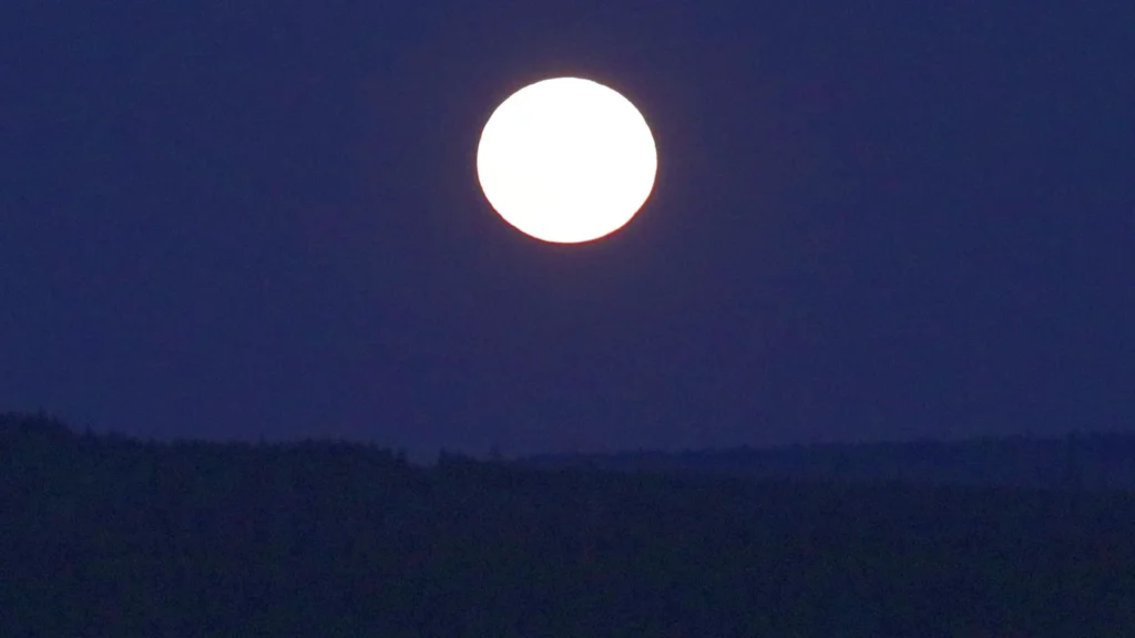 Full Moon à Théoule : un marché, des food trucks et un DJ sur le port