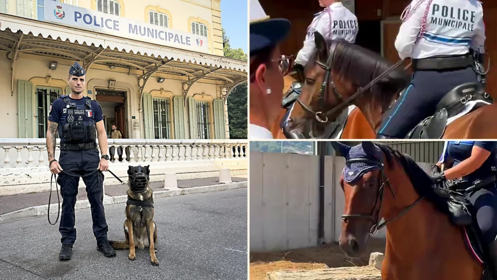 Ces animaux qui aident la police municipale à Nice et Cagnes-sur-Mer