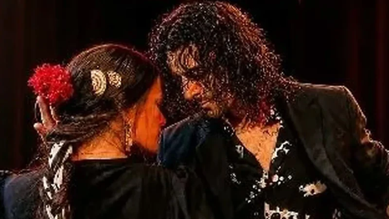 Le flamenco derrière les portes closes, deux séances à Nice en novembre