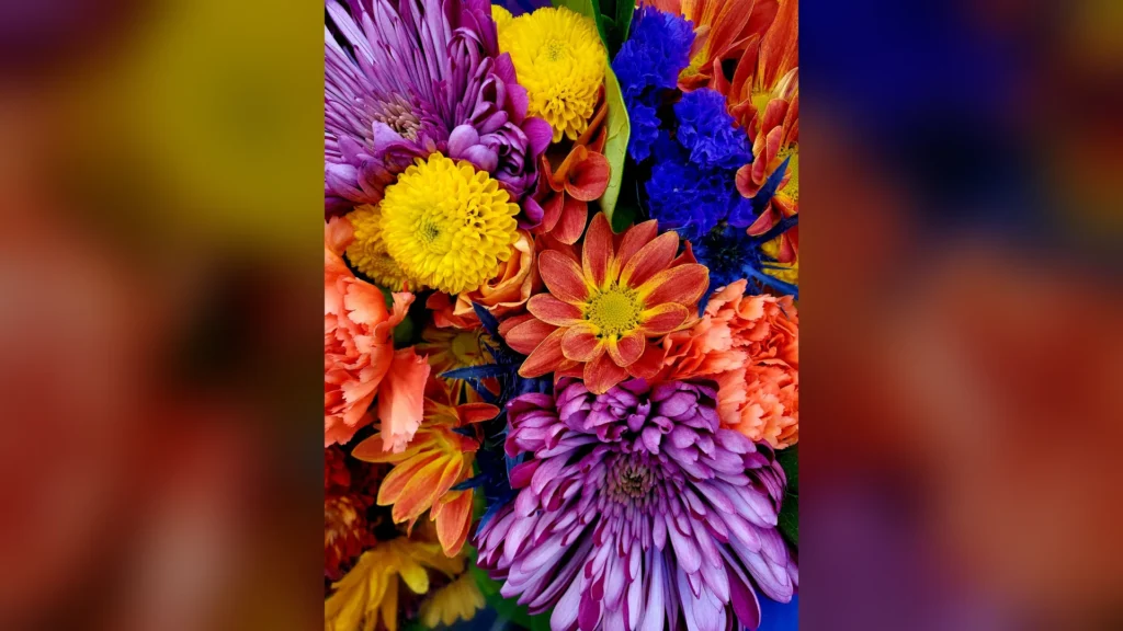 Nice : une fleuriste harcelée, son agresseuse relâchée en une heure