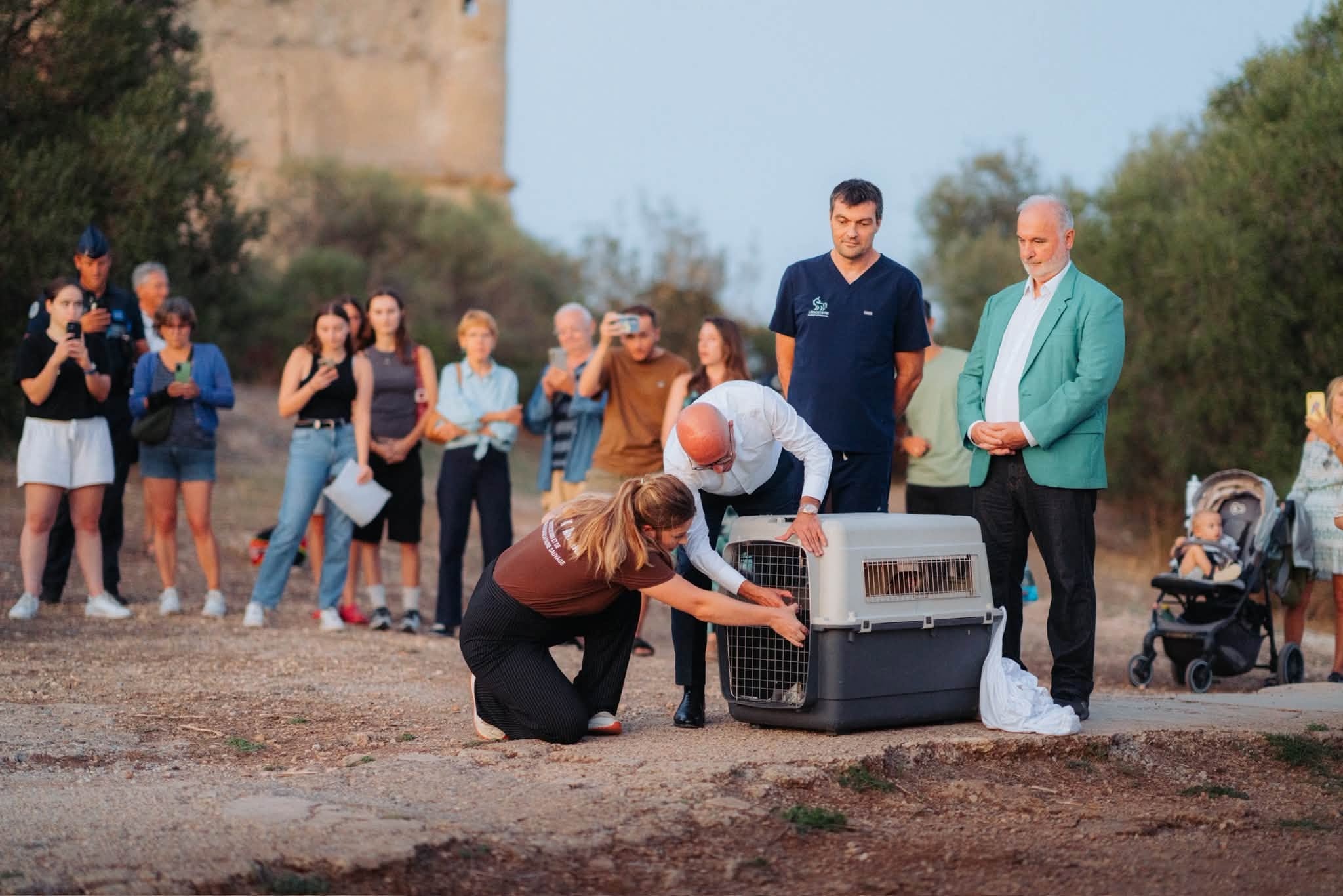 Une soignante ouvre la caisse du hibou grand-duc devant le public, au fort du Mont Alban a Nice