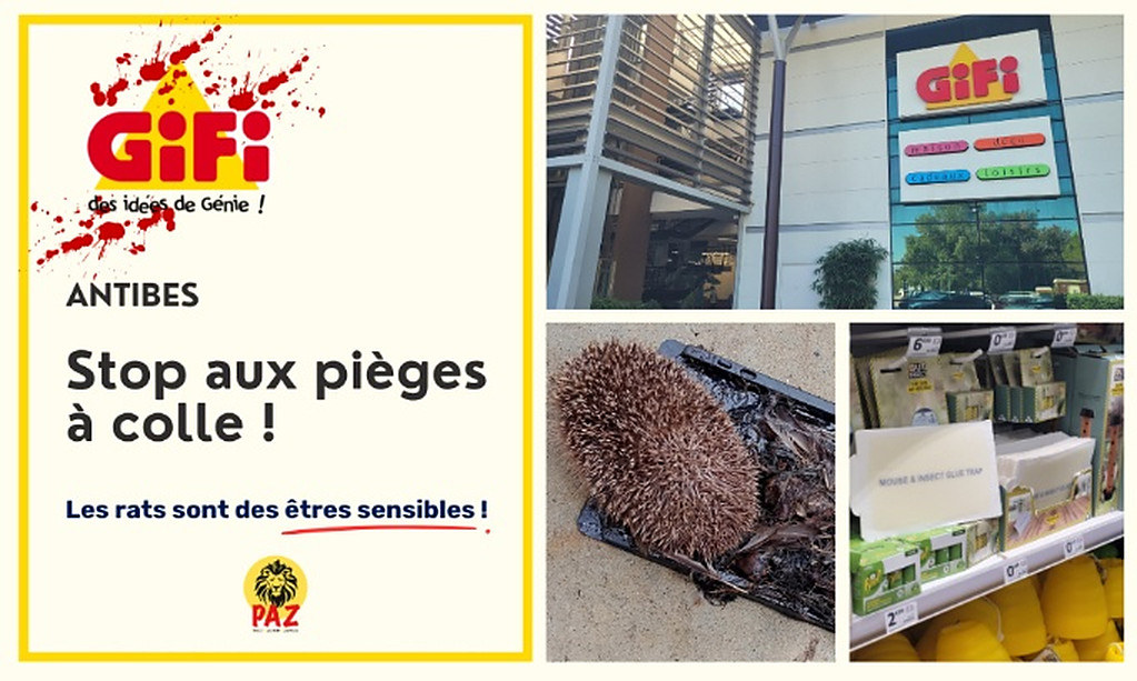 Visuel de la pétition contre les pièges à colle au GiFi d'Antibes