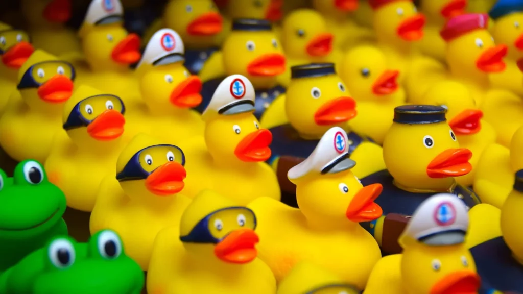 6 000 canards lâchés sur la Siagne : lequel fera gagner un vélo électrique ?