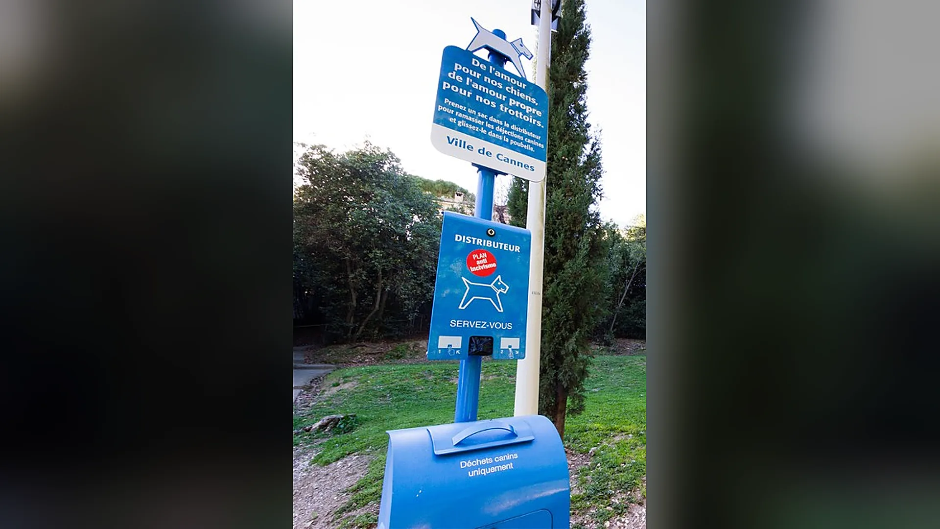 Distributeur de sacs City Dogs bleu avec sa corbeille et son panneau d’information, à Cannes